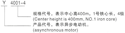 西安泰富西玛Y系列(H355-1000)高压琼山三相异步电机型号说明